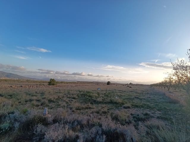 Ubebygd land til salgs i Pinoso - € 21 995 (Ref: 9105561)