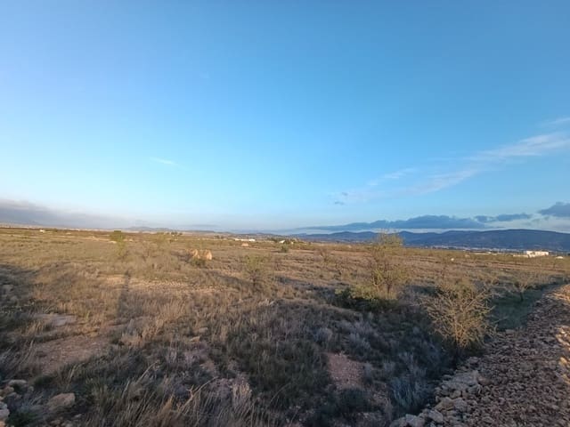 Ubebygd land til salgs i Pinoso - € 21 995 (Ref: 9105561)