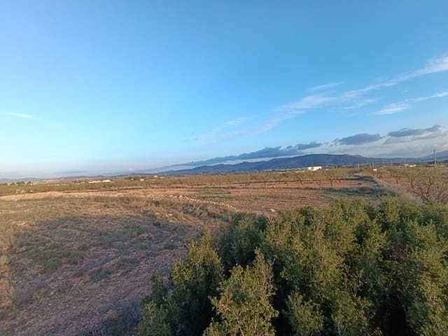 Ubebygd land til salgs i Pinoso - € 21 995 (Ref: 9105561)