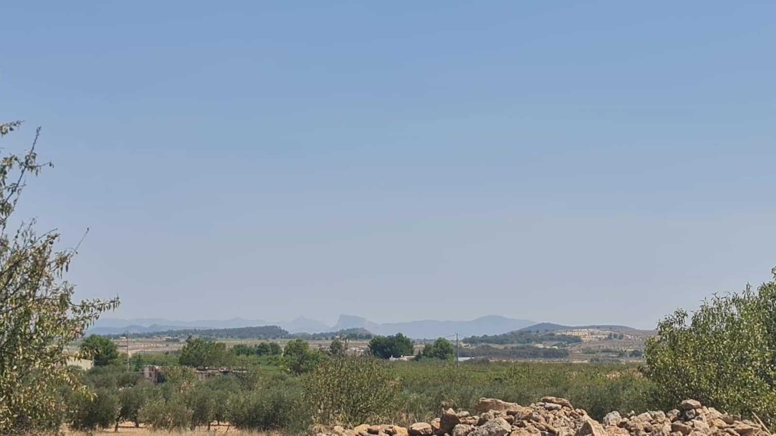 Grond te koop in Pinoso - € 21.995 (Ref: 9105561)