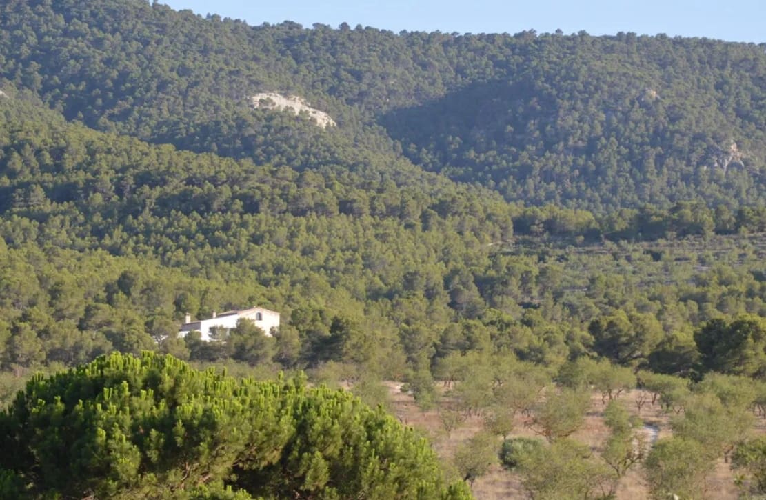 4 soveværelse Finca/Landehus til salg i Villena med garage - € 99.900 (Ref: 9118410)