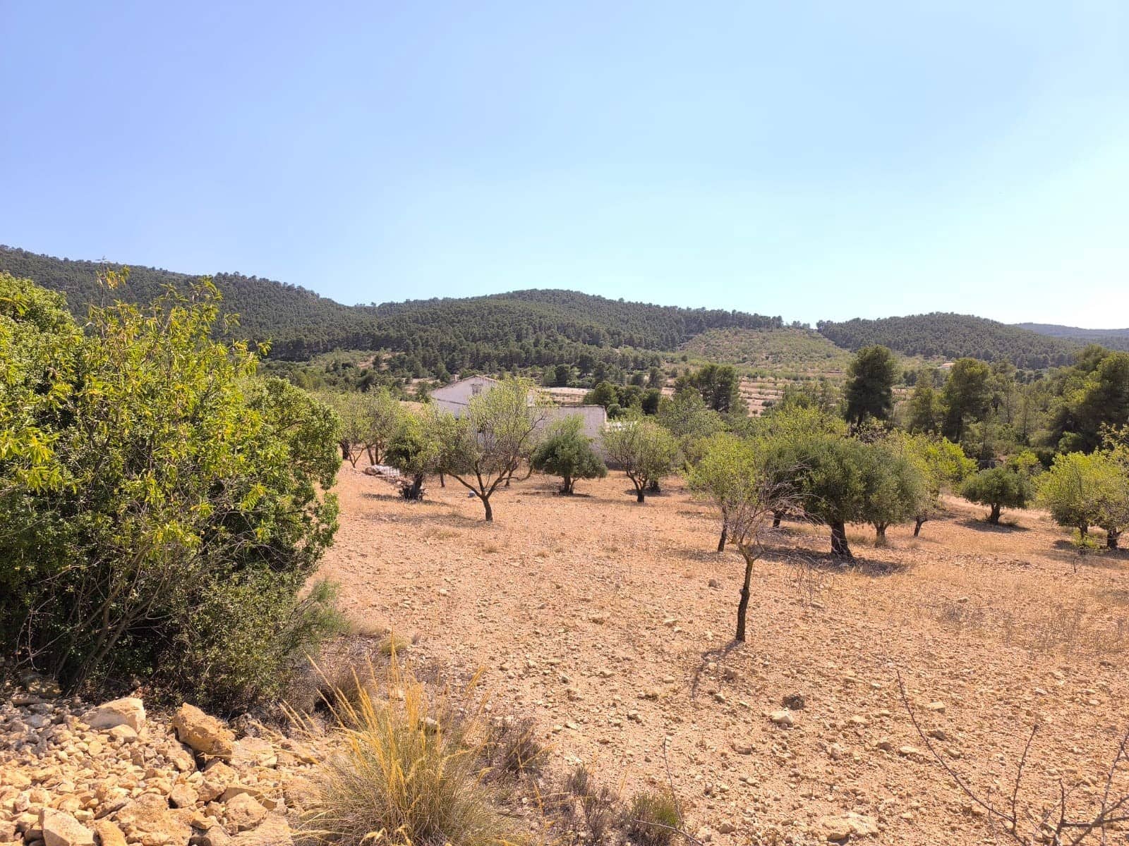 4 soveværelse Finca/Landehus til salg i Villena med garage - € 99.900 (Ref: 9118410)
