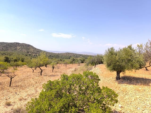 4 bedroom Finca/Country House for sale in Villena with garage - € 99,900 (Ref: 9118410)