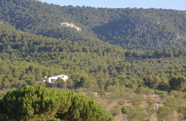4 chambre Finca/Maison de Campagne à vendre à Villena avec garage - 110 000 € (Ref: 9118410)
