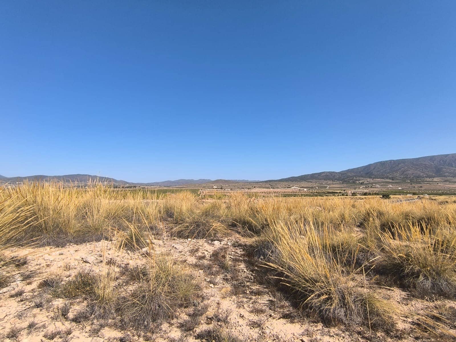 Grunde uden byggetilladelser til salg i Lel - € 32.000 (Ref: 9125605)