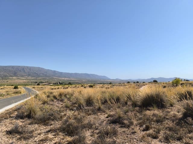 Mark till salu i Lel, Pinoso - 32 000 € (Ref: 9125605)