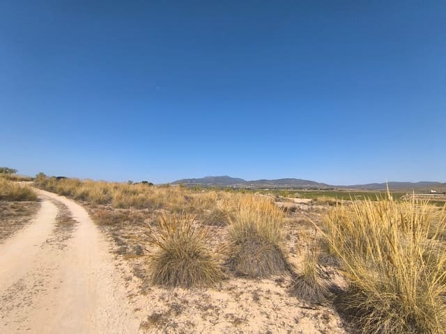 Mark till salu i Lel, Pinoso - 32 000 € (Ref: 9125605)