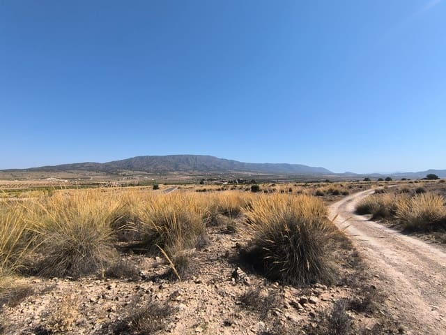 Mark till salu i Lel, Pinoso - 32 000 € (Ref: 9125605)