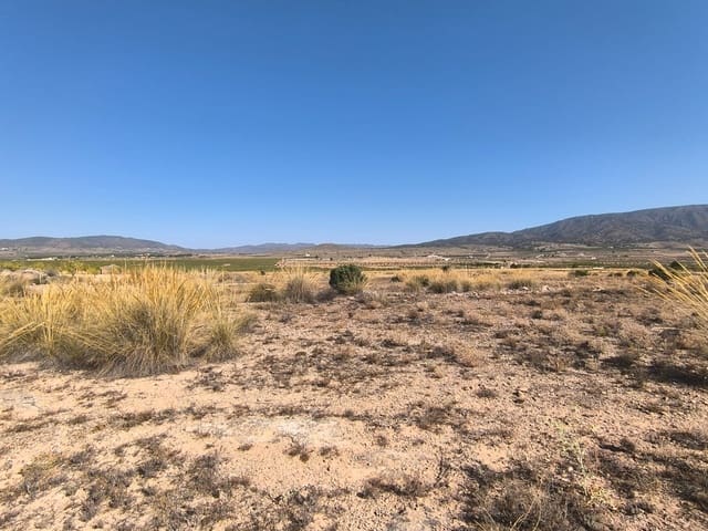 Mark till salu i Lel, Pinoso - 32 000 € (Ref: 9125605)