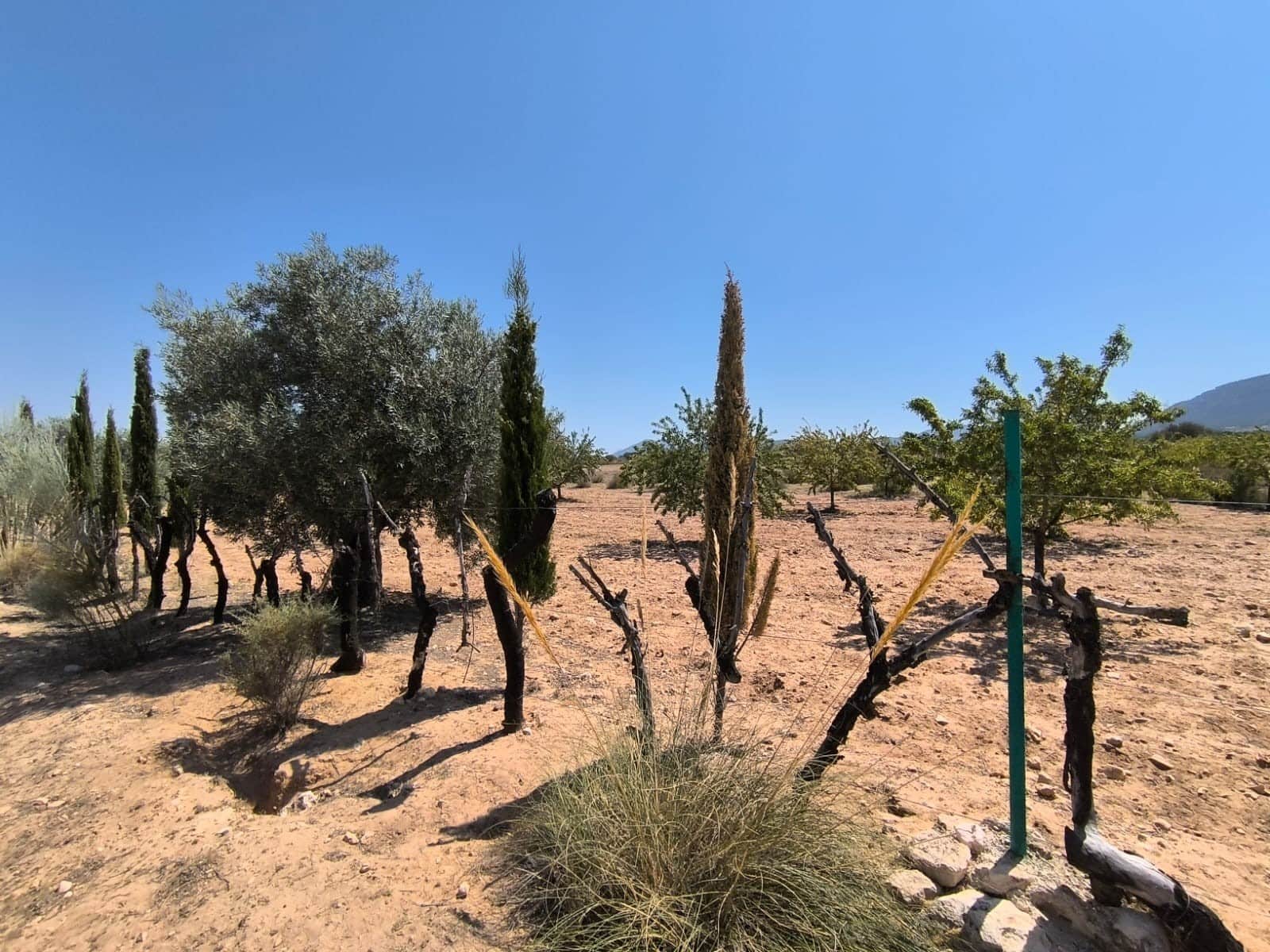 6 soverom Finca/Herregård til salgs i Villena med garasje - € 599 995 (Ref: 9129213)