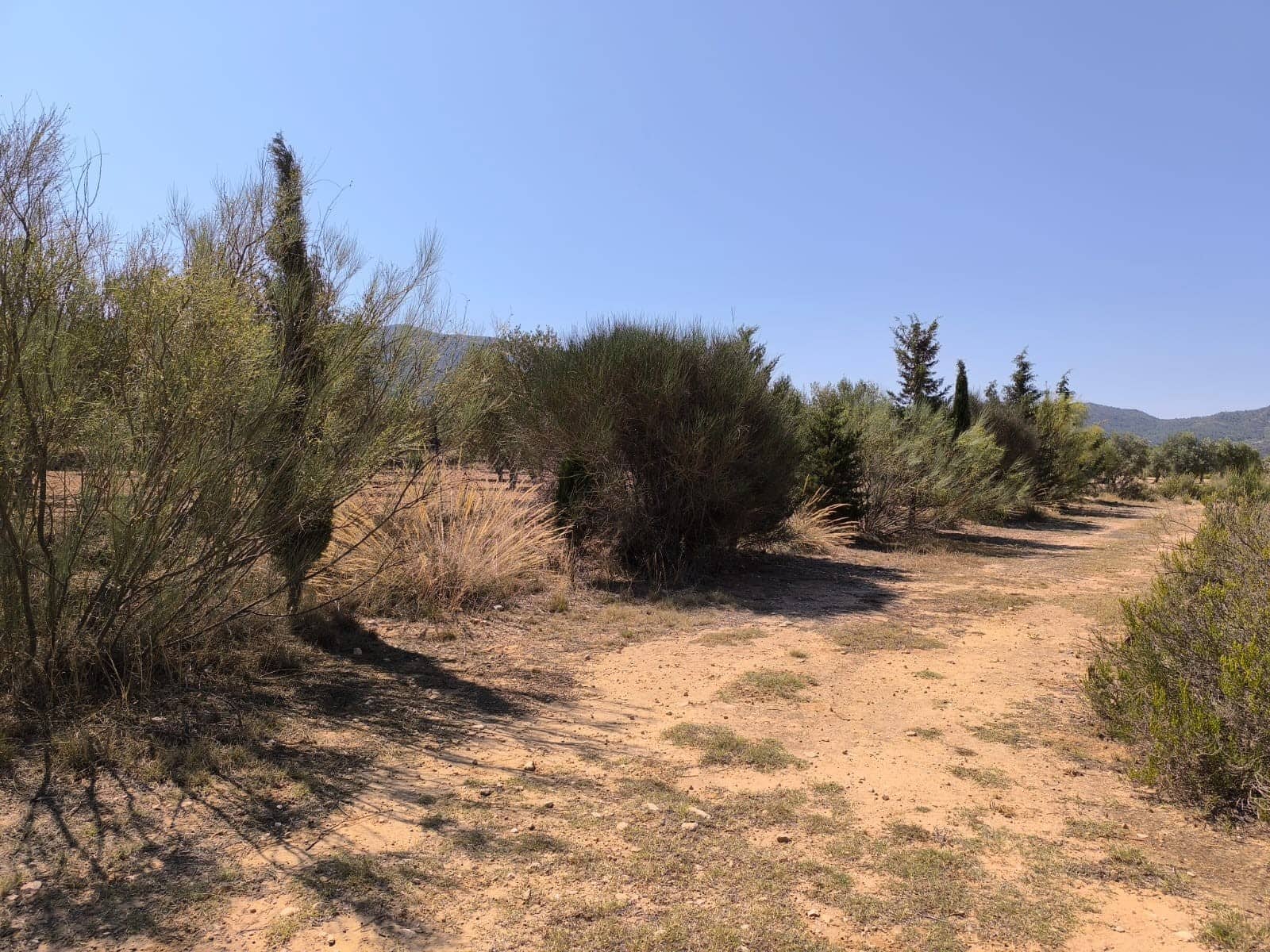 6 soverom Finca/Herregård til salgs i Villena med garasje - € 599 995 (Ref: 9129213)