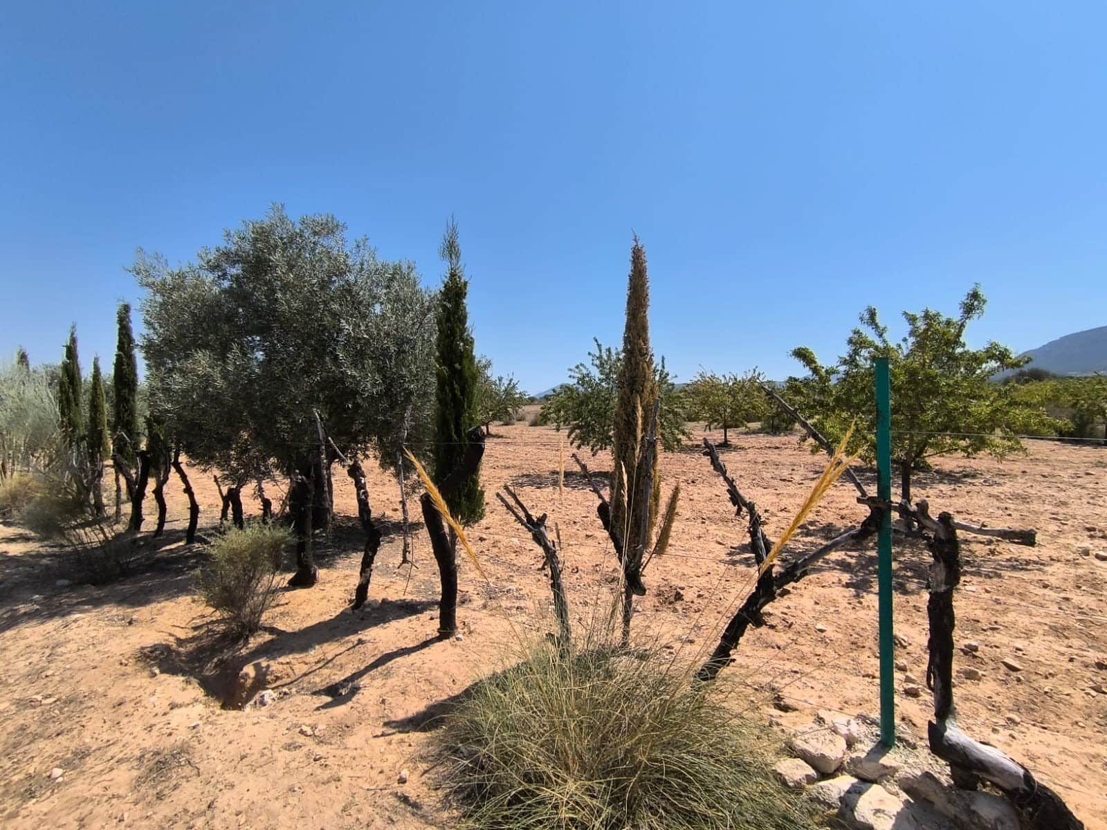 6 bedroom Finca/Country House for sale in Villena with garage - € 599,995 (Ref: 9129213)