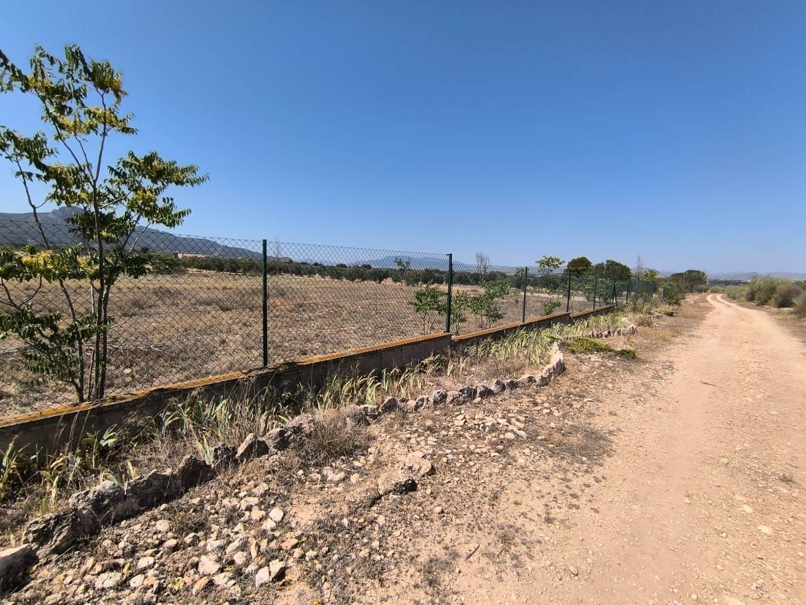 6 bedroom Finca/Country House for sale in Villena with garage - € 599,995 (Ref: 9129213)