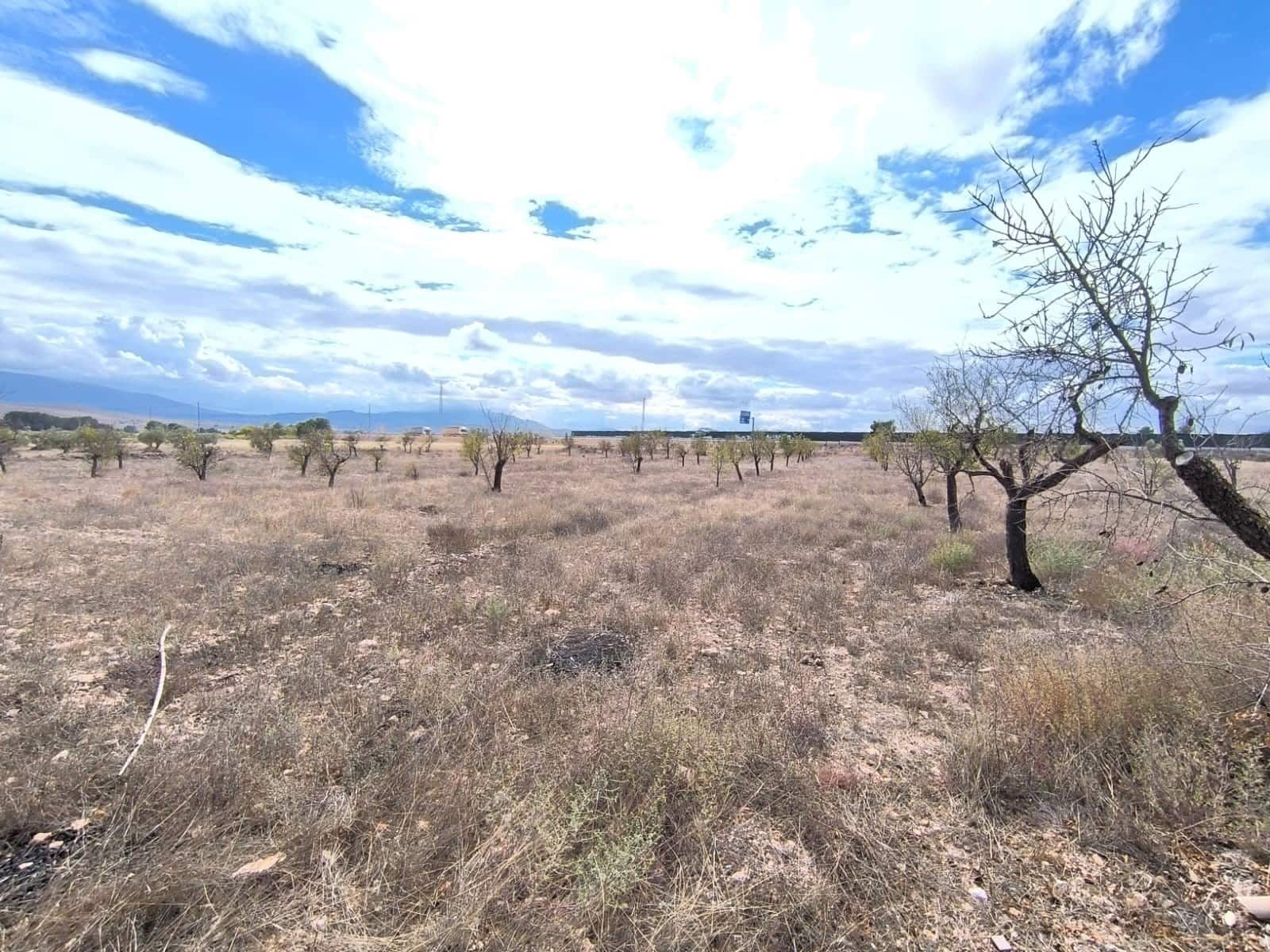 3 soveværelse Finca/Landehus til salg i Yecla med swimmingpool garage - € 195.000 (Ref: 9144650)