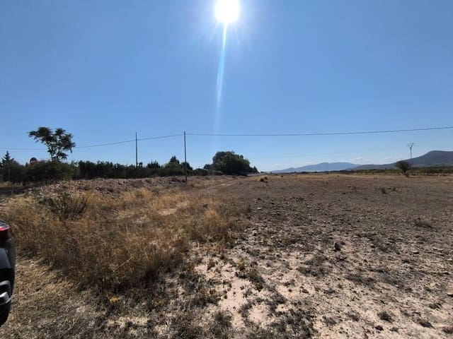 Undeveloped Land for sale in Ubeda, Pinoso - € 54,995 (Ref: 9150621)