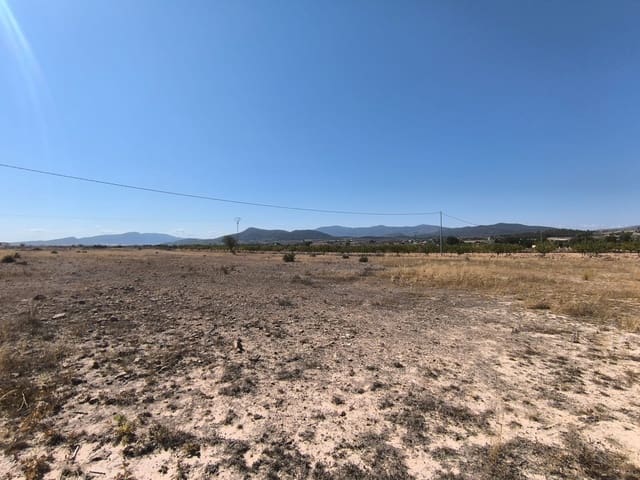 Undeveloped Land for sale in Ubeda, Pinoso - € 54,995 (Ref: 9150621)
