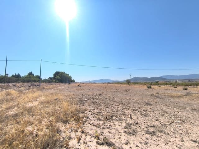 Terre non Aménagée à vendre à Ubeda, Pinoso - 54 995 € (Ref: 9150621)