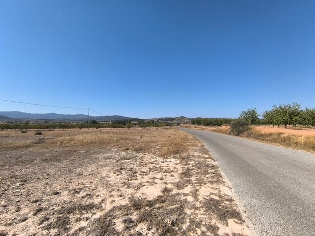 Terre non Aménagée à vendre à Ubeda, Pinoso - 54 995 € (Ref: 9150621)
