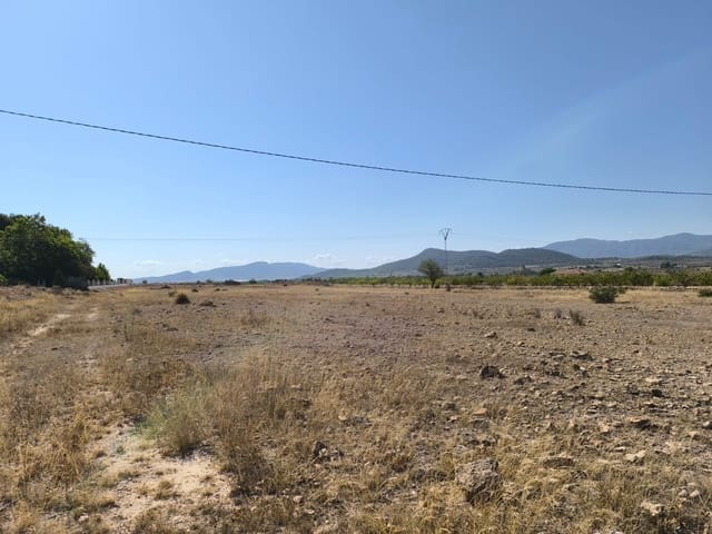 Terre non Aménagée à vendre à Ubeda, Pinoso - 54 995 € (Ref: 9150621)