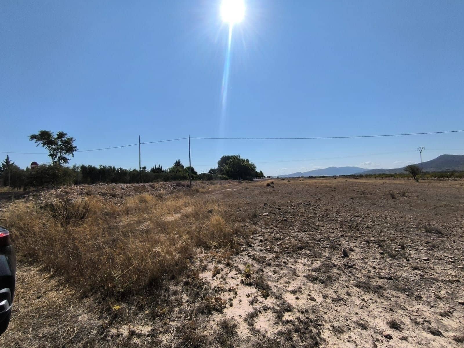 Undeveloped Land for sale in Pinoso - € 54,995 (Ref: 9150621)