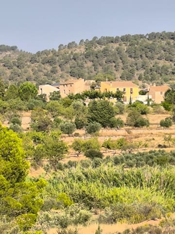 Finca/Country House for sale in Casas del Senor, Monóvar / Monóver - € 65,000 (Ref: 9175657)