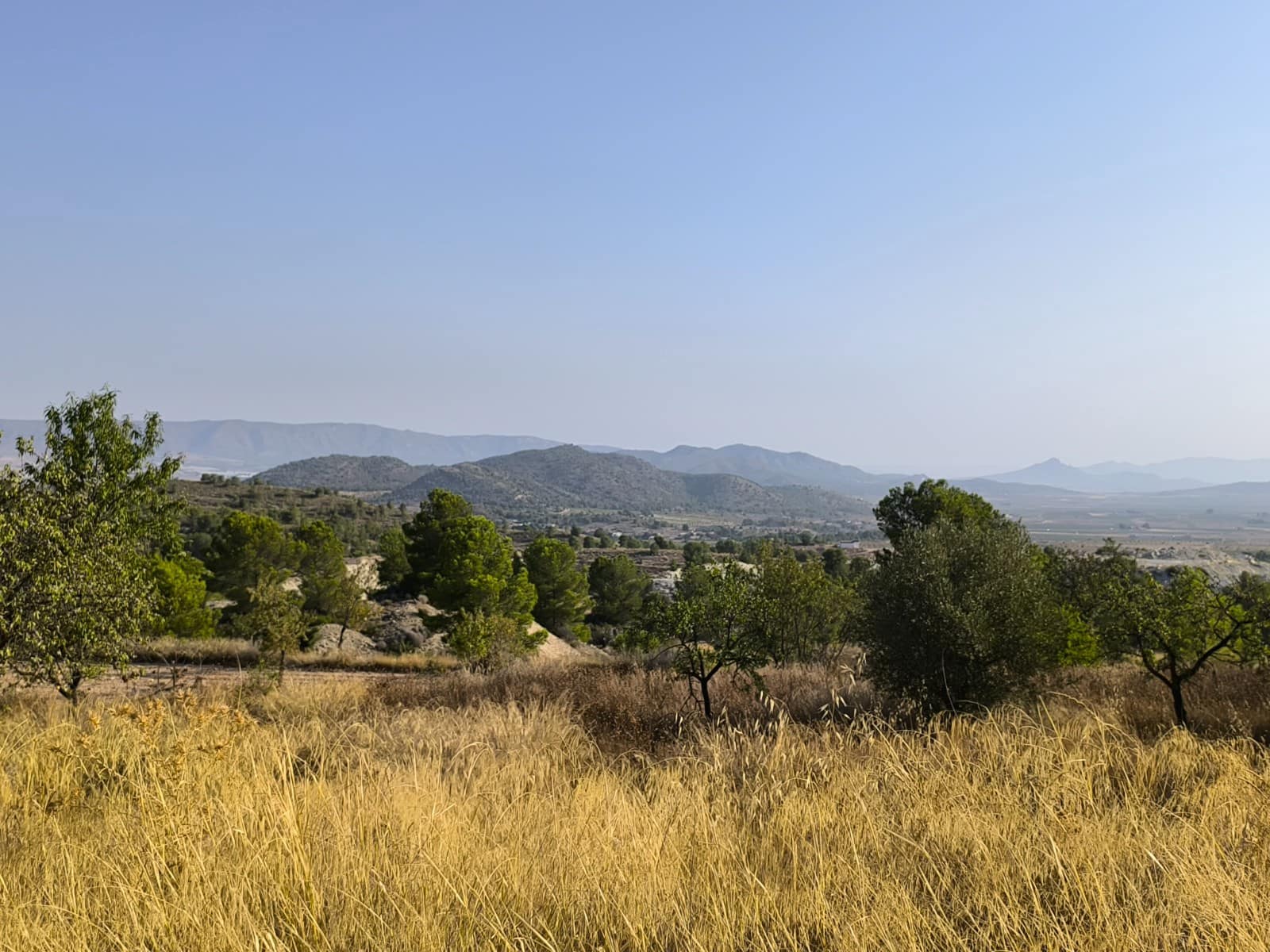 Finca/Country House for sale in Casas del Senor - € 40,000 (Ref: 9175658)