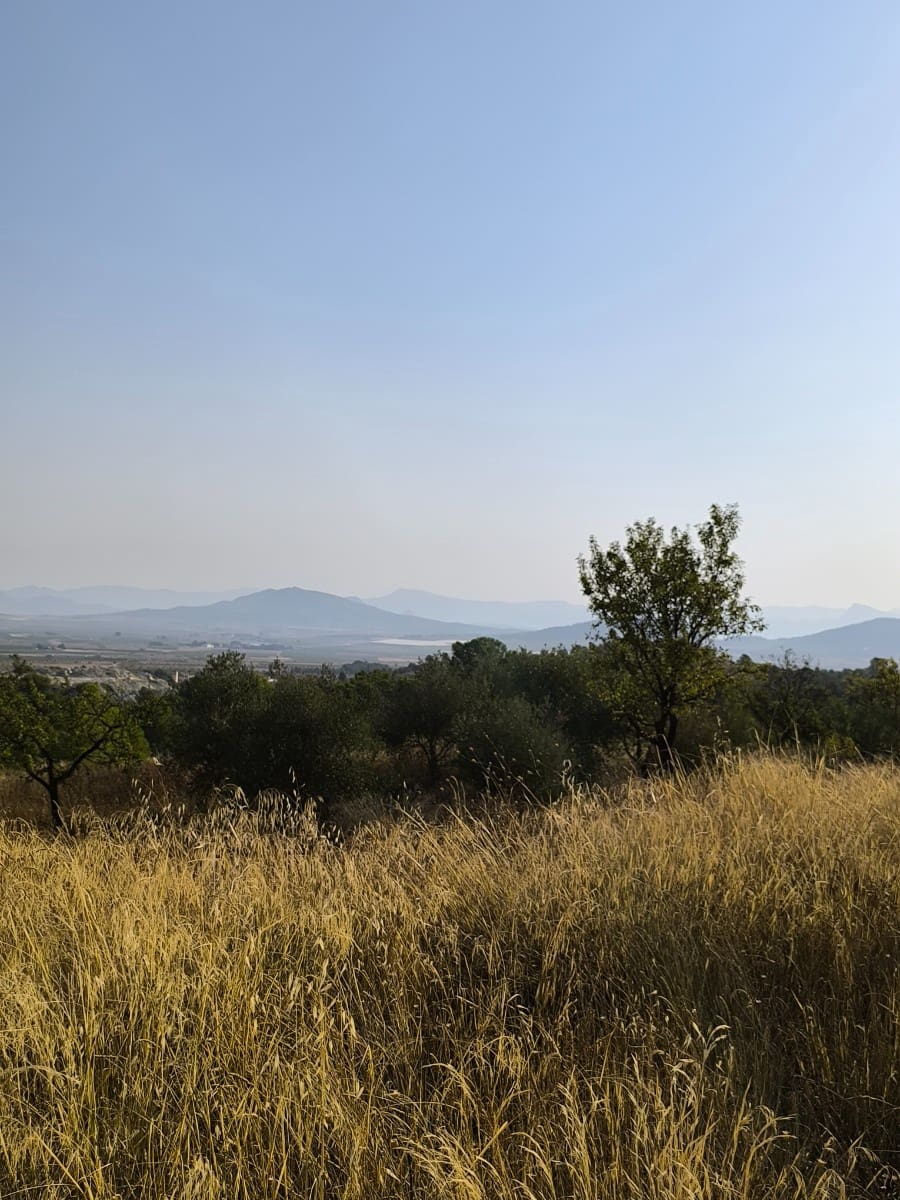 Finca/Landehus til salg i Casas del Senor - € 40.000 (Ref: 9175658)