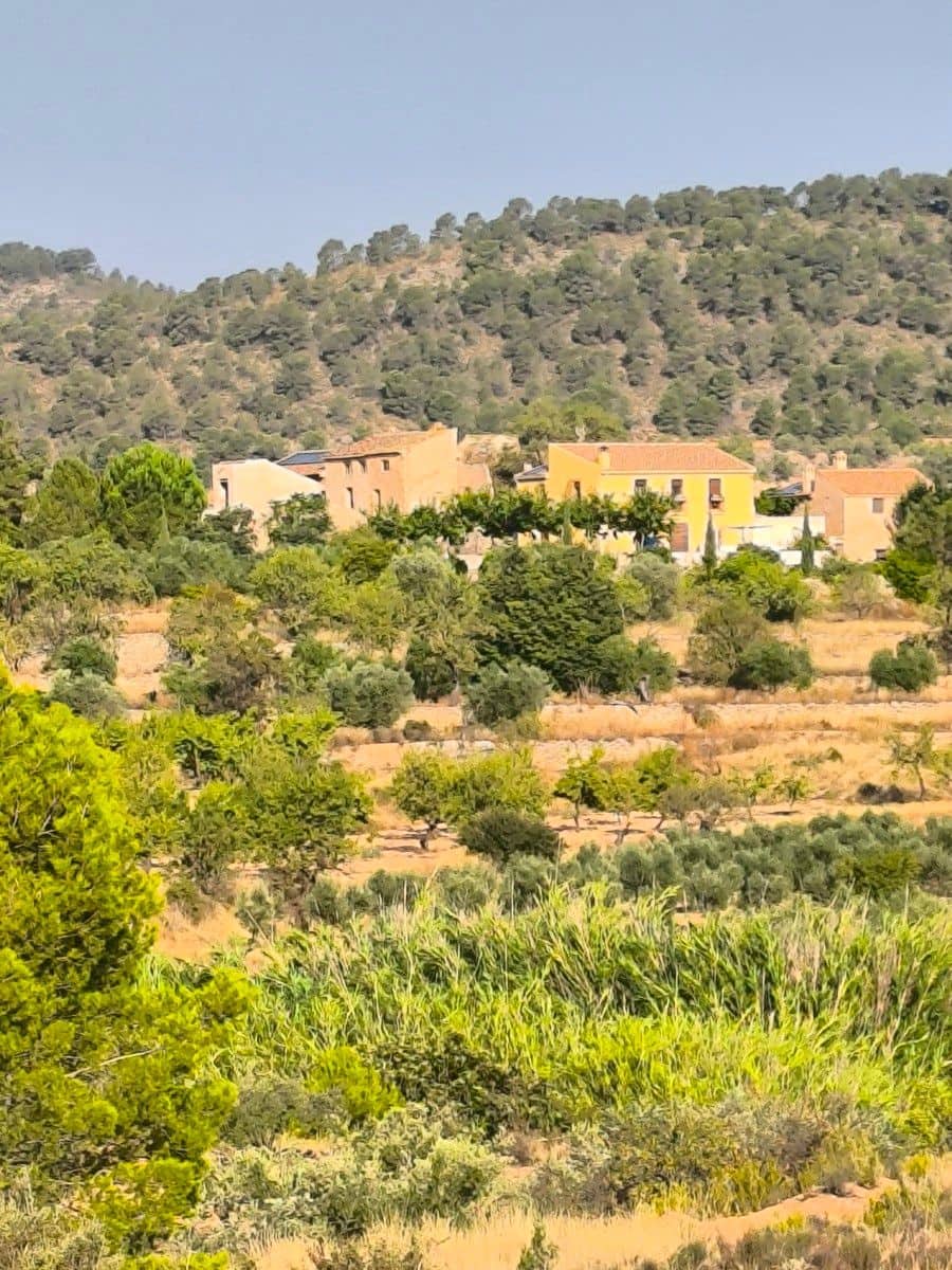Finca/Country House for sale in Casas del Senor - € 40,000 (Ref: 9175658)