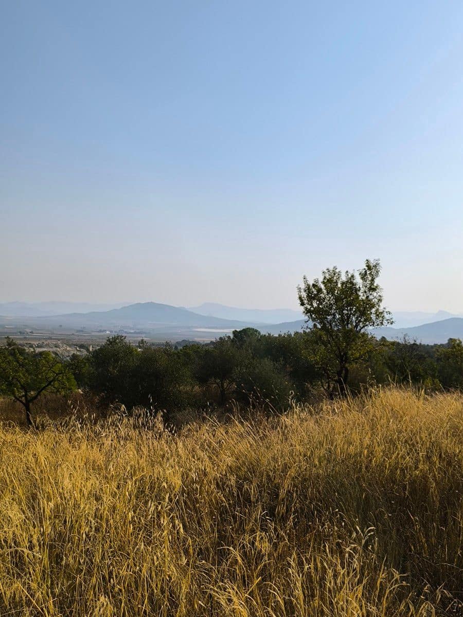 Finca/Country House for sale in Casas del Senor - € 40,000 (Ref: 9175658)