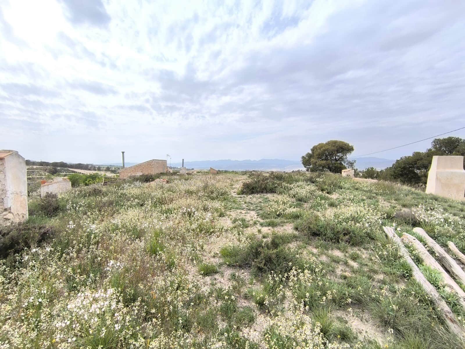 7 soverom Finca/Herregård til salgs i Jumilla med garasje - € 56 990 (Ref: 9177855)