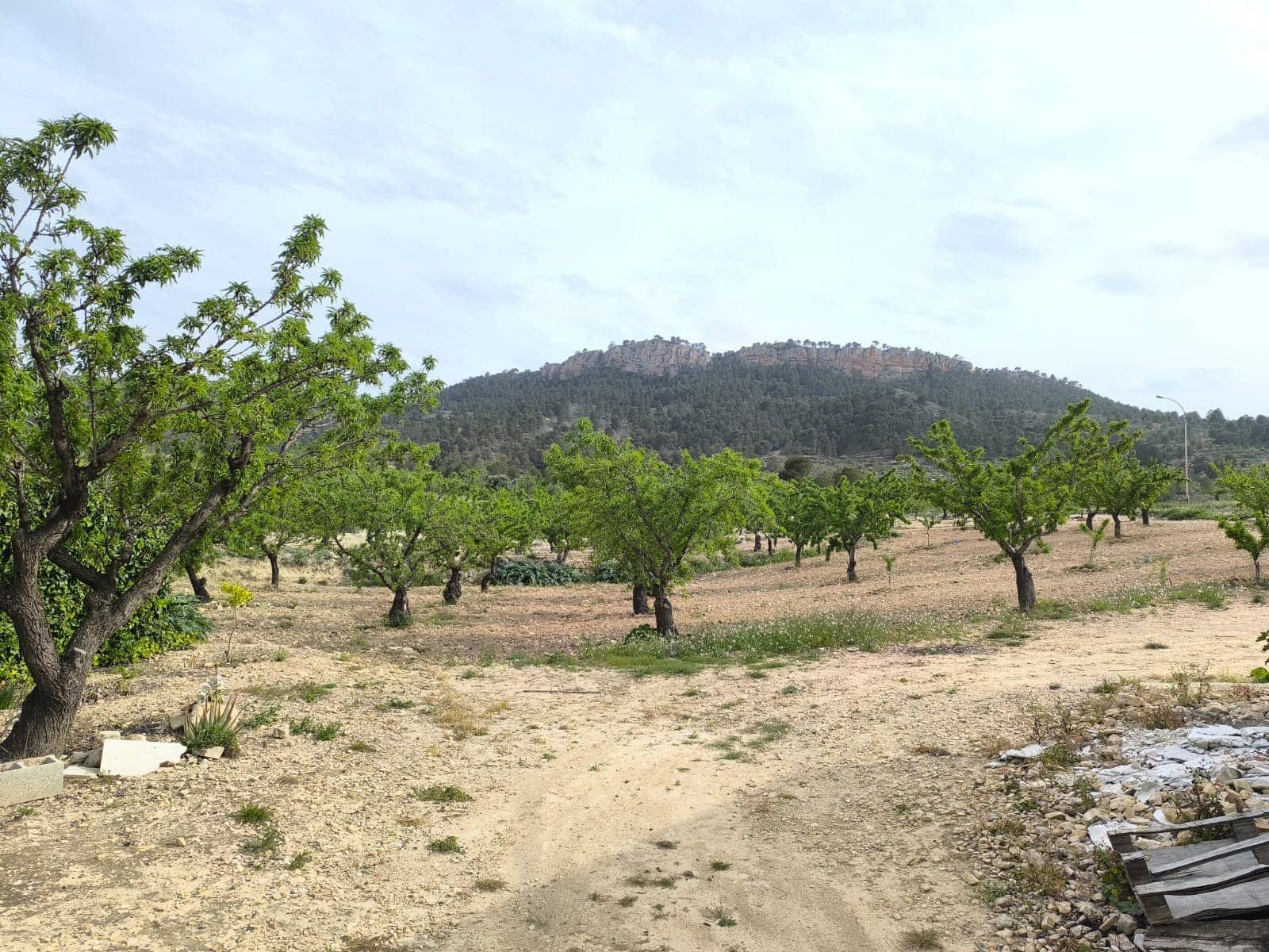 7 soveværelse Finca/Landehus til salg i Jumilla med garage - € 56.990 (Ref: 9177855)