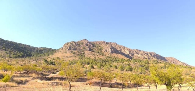 Undeveloped Land for sale in L'Algueña / Alguenya - € 37,500 (Ref: 9177931)