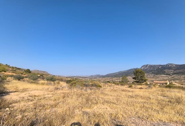 Grunde uden byggetilladelser til salg i L'Algueña / Alguenya - € 37.500 (Ref: 9177931)