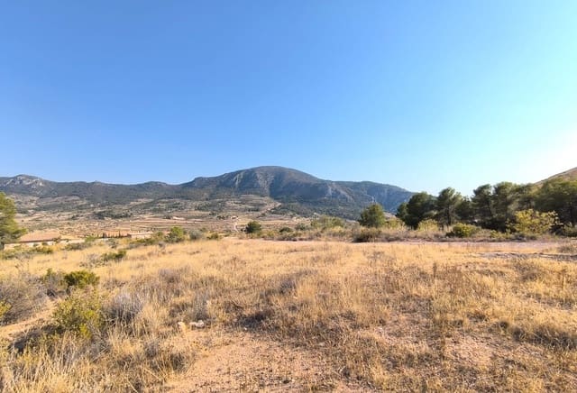 Mark till salu i L'Algueña / Alguenya - 37 500 € (Ref: 9177931)