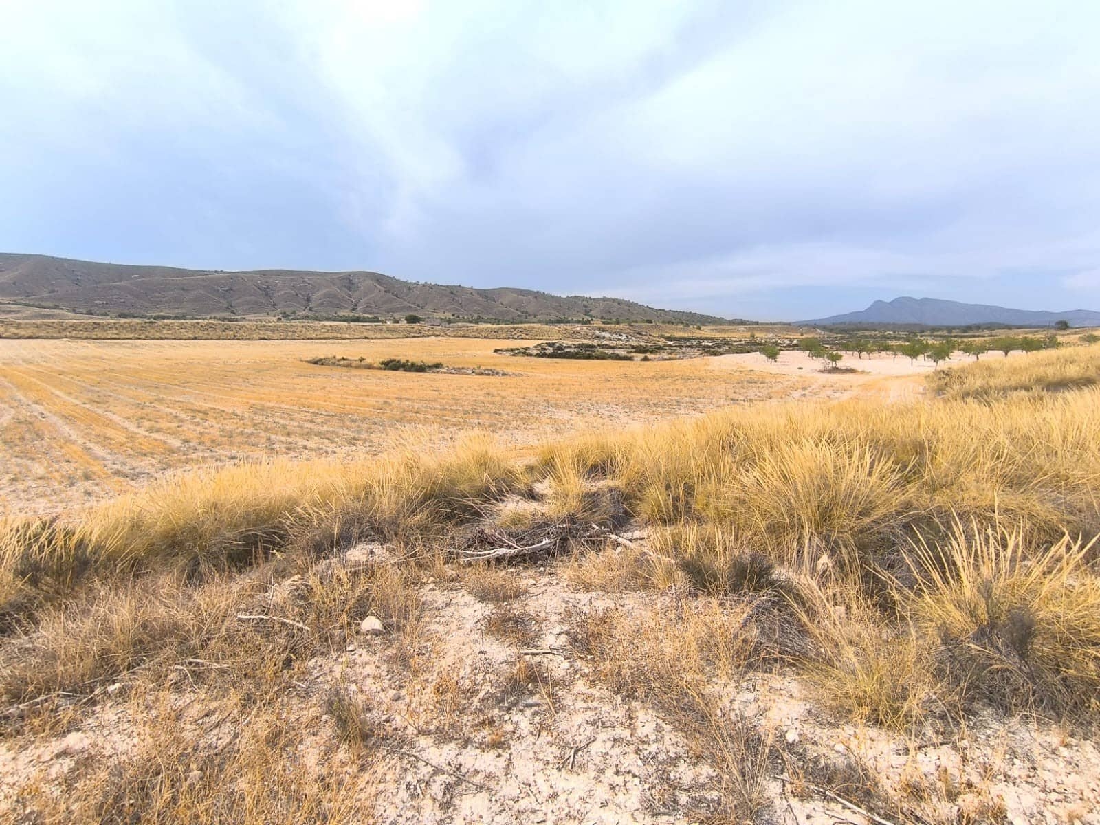 6 camera da letto Finca/Casa di Campagna in vendita in Jumilla con garage - 254.900 € (Rif: 9180725)