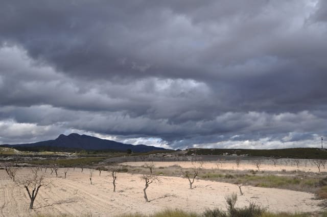 6 soveværelse Finca/Landehus til salg i Jumilla med garage - € 254.900 (Ref: 9180725)