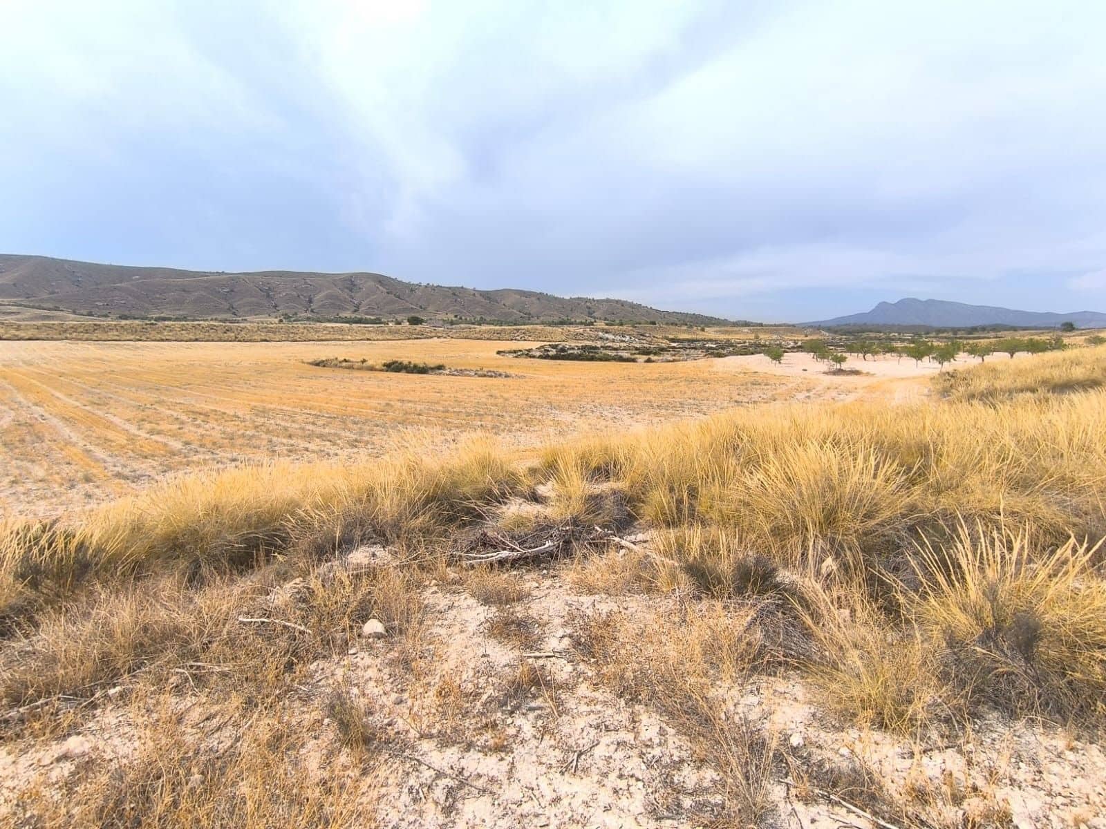 6 bedroom Finca/Country House for sale in Jumilla with garage - € 254,900 (Ref: 9180725)