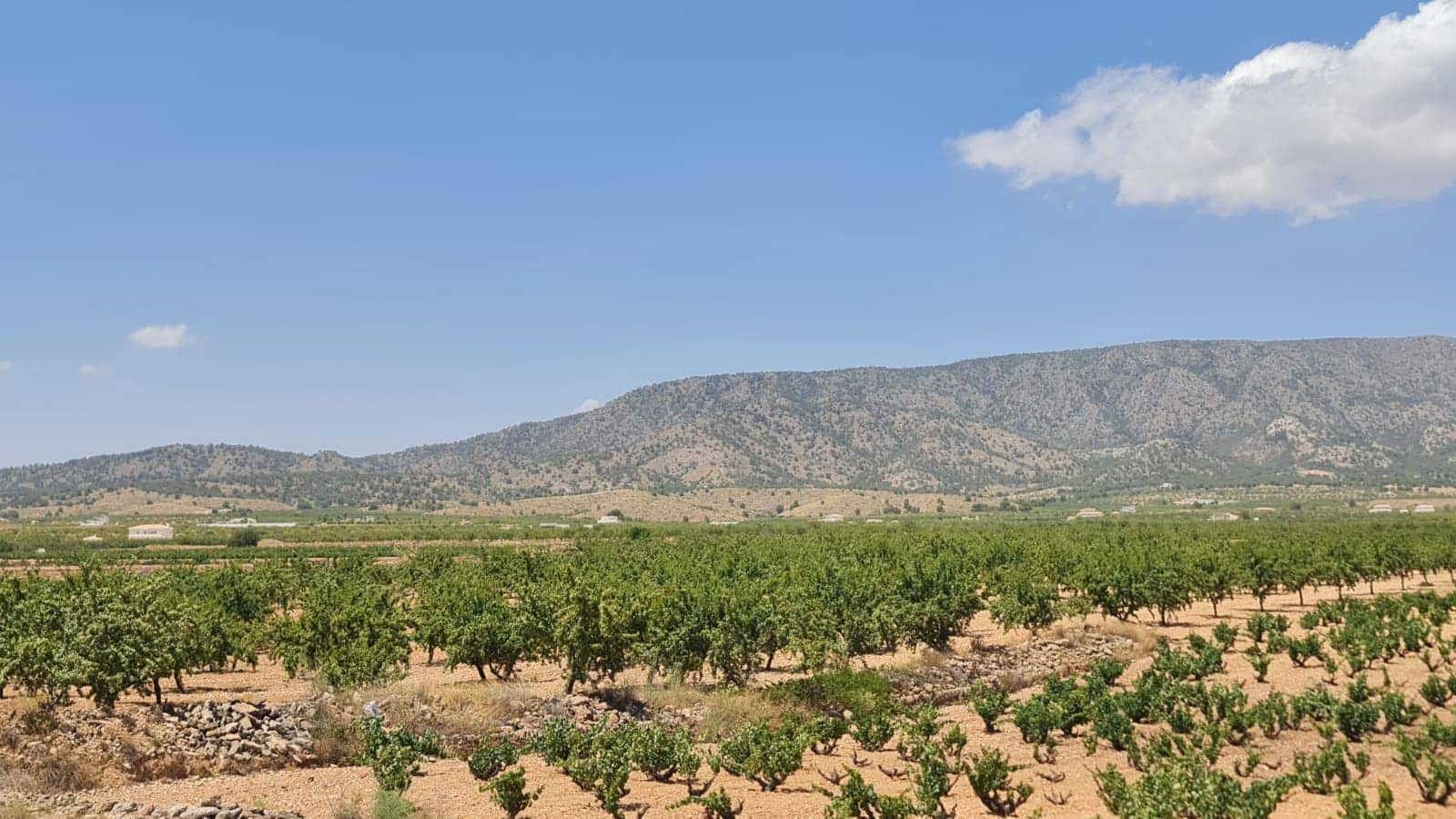 3 soverom Villa til salgs i Pinoso med svømmebasseng - € 349 995 (Ref: 9181277)