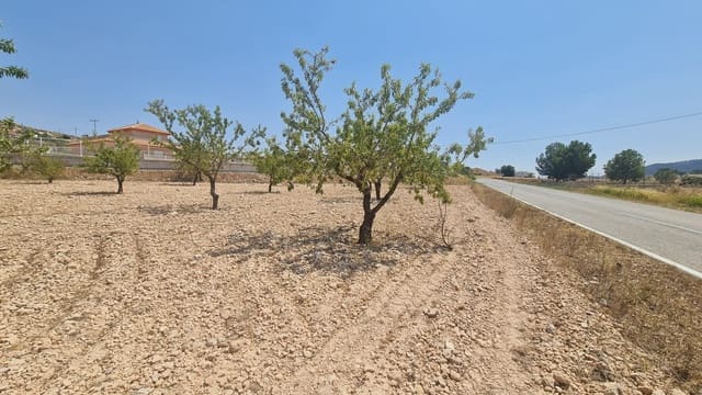 Grond te koop in Jumilla - € 34.995 (Ref: 9181279)