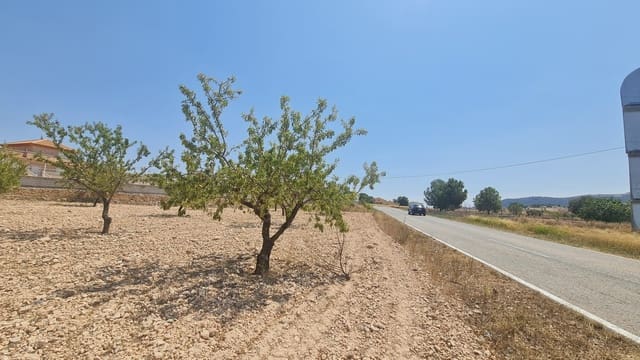 Grond te koop in Jumilla - € 34.995 (Ref: 9181279)