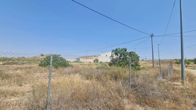 Undeveloped Land for sale in Cañada del Trigo, Pinoso - € 35,995 (Ref: 9181280)