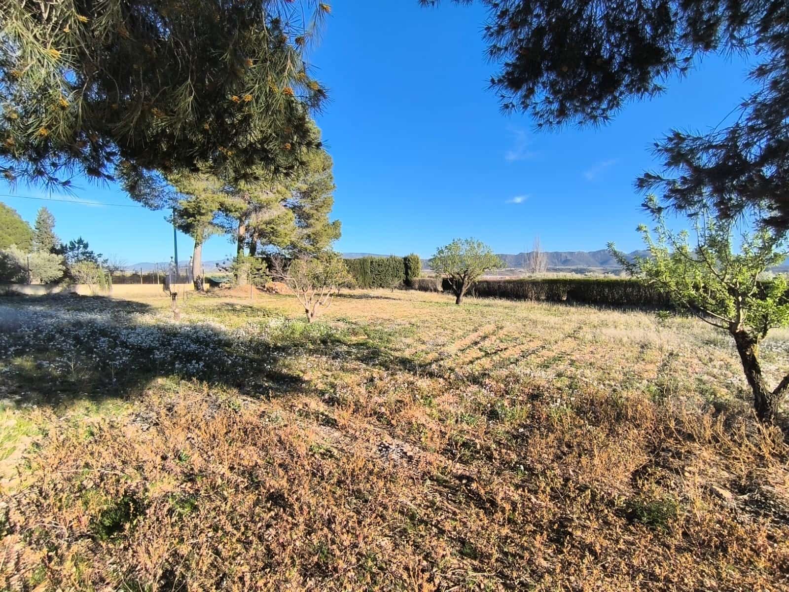 3 soveværelse Villa til salg i Yecla med swimmingpool - € 159.900 (Ref: 9183204)