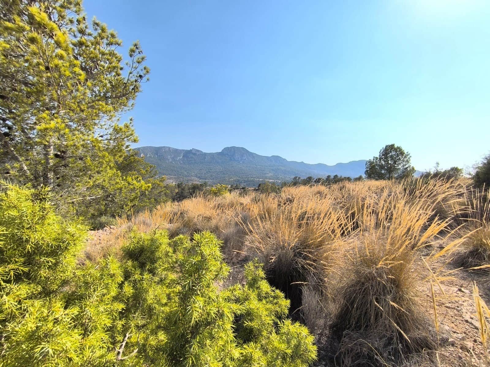 Ubebygd land til salgs i La Romana - € 69 900 (Ref: 9183205)