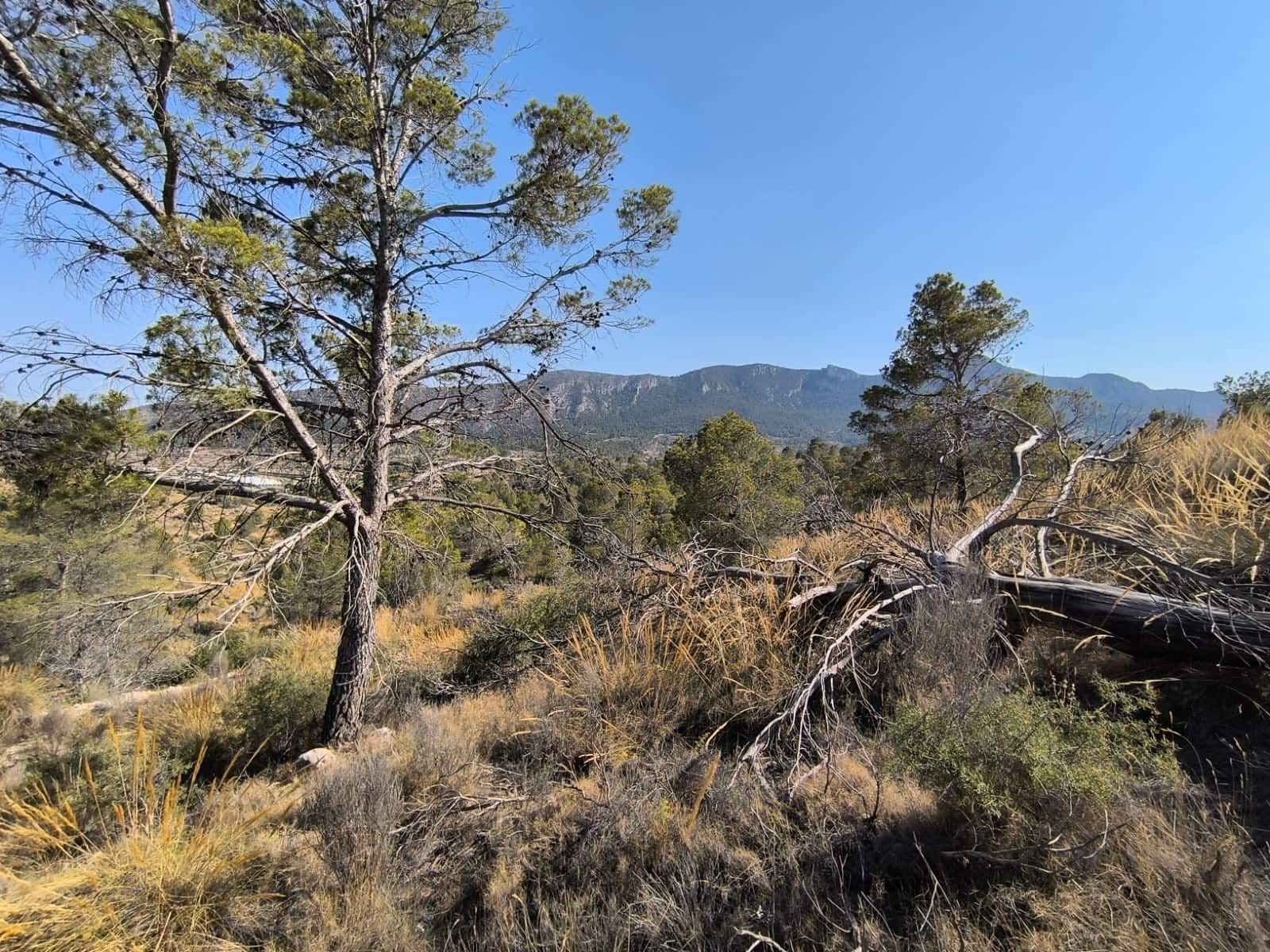 Ubebygd land til salgs i La Romana - € 69 900 (Ref: 9183205)