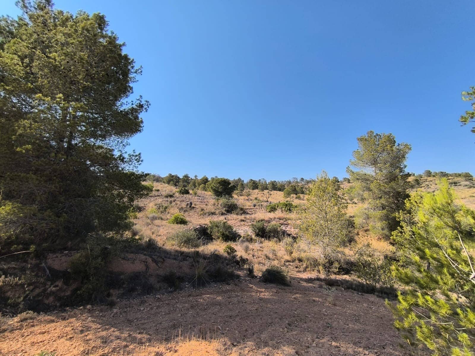 Grunde uden byggetilladelser til salg i La Romana - € 69.900 (Ref: 9183205)