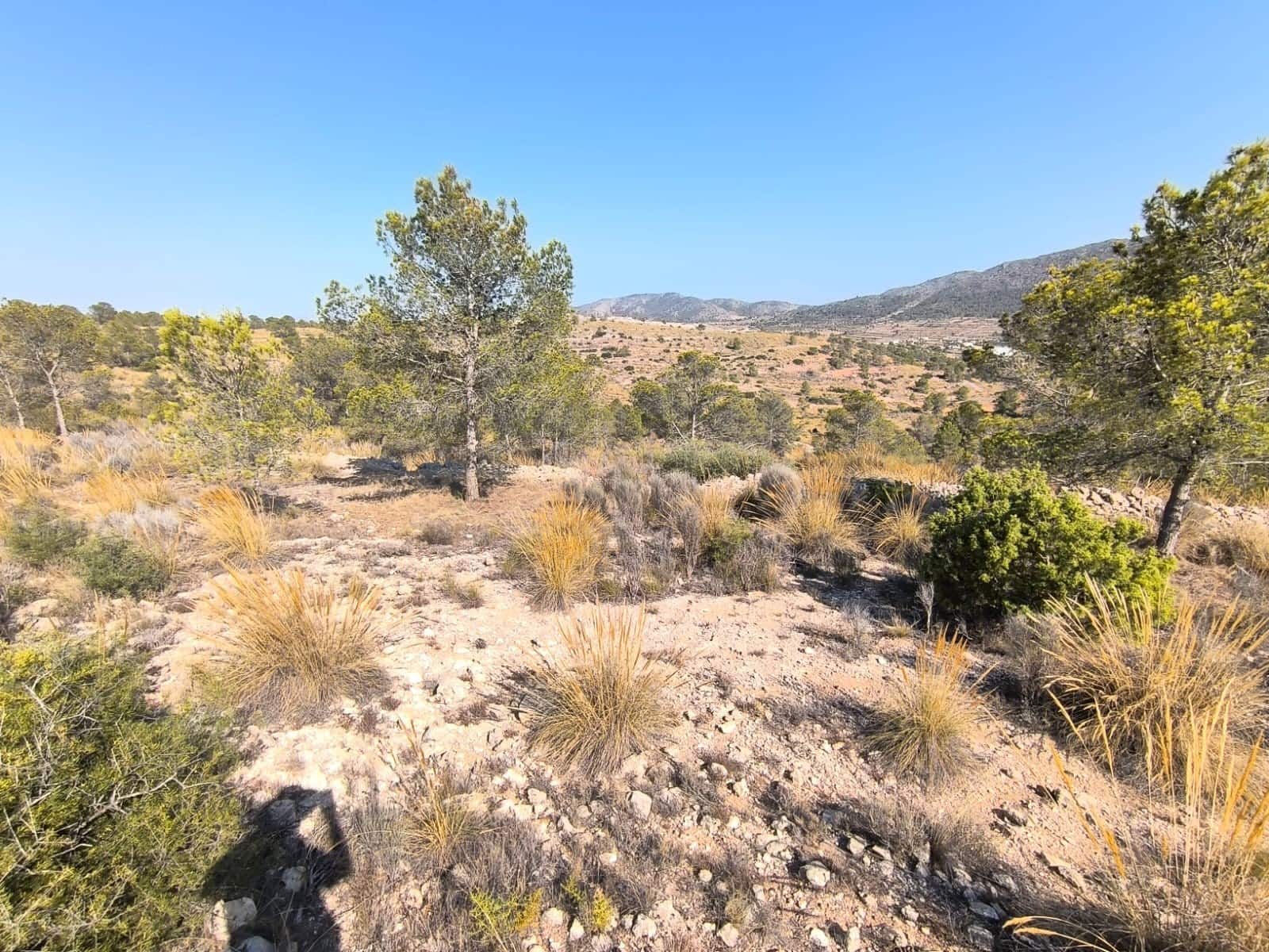 Grunde uden byggetilladelser til salg i La Romana - € 69.900 (Ref: 9183205)
