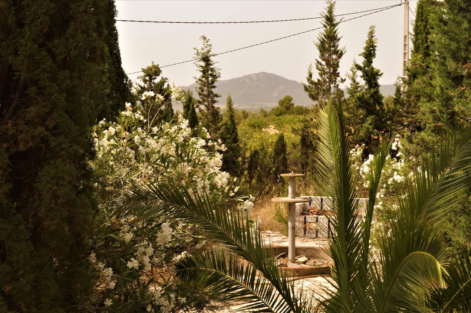 7 chambre Finca/Maison de Campagne à vendre à Salinas - 119 950 € (Ref: 9184639)