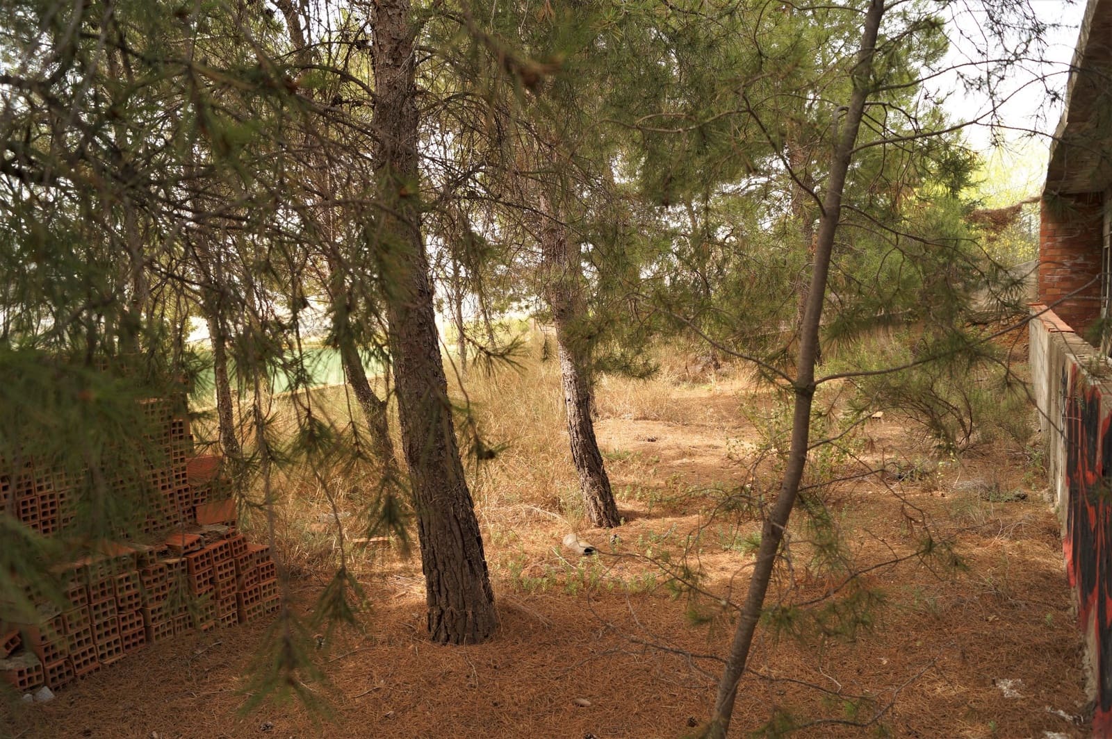 7 chambre Finca/Maison de Campagne à vendre à Salinas - 119 950 € (Ref: 9184639)