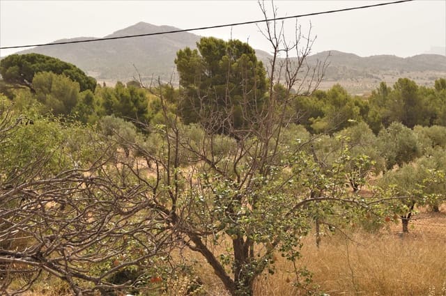 7 soveværelse Finca/Landehus til salg i Salinas - € 119.950 (Ref: 9184639)