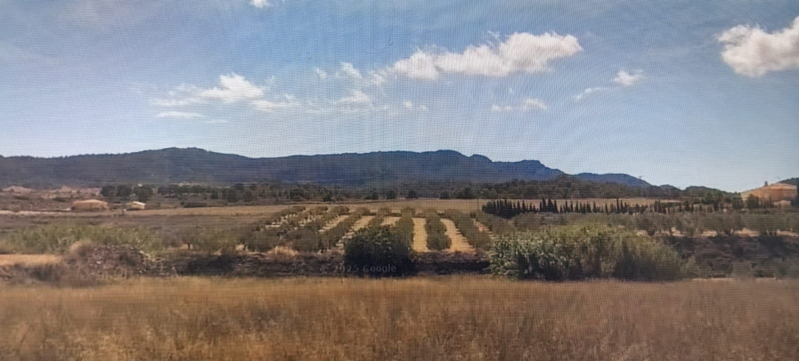 7 soveværelse Finca/Landehus til salg i Lorca med garage - € 680.000 (Ref: 9187600)